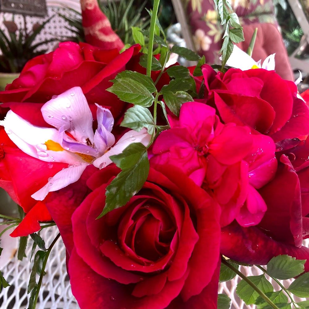 Meet your Posher, Wen